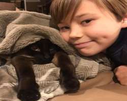 The actor has adopted a cute black cat in his home.